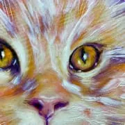 пример работ №2 пример работ №2