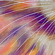 пример работ №4 пример работ №4